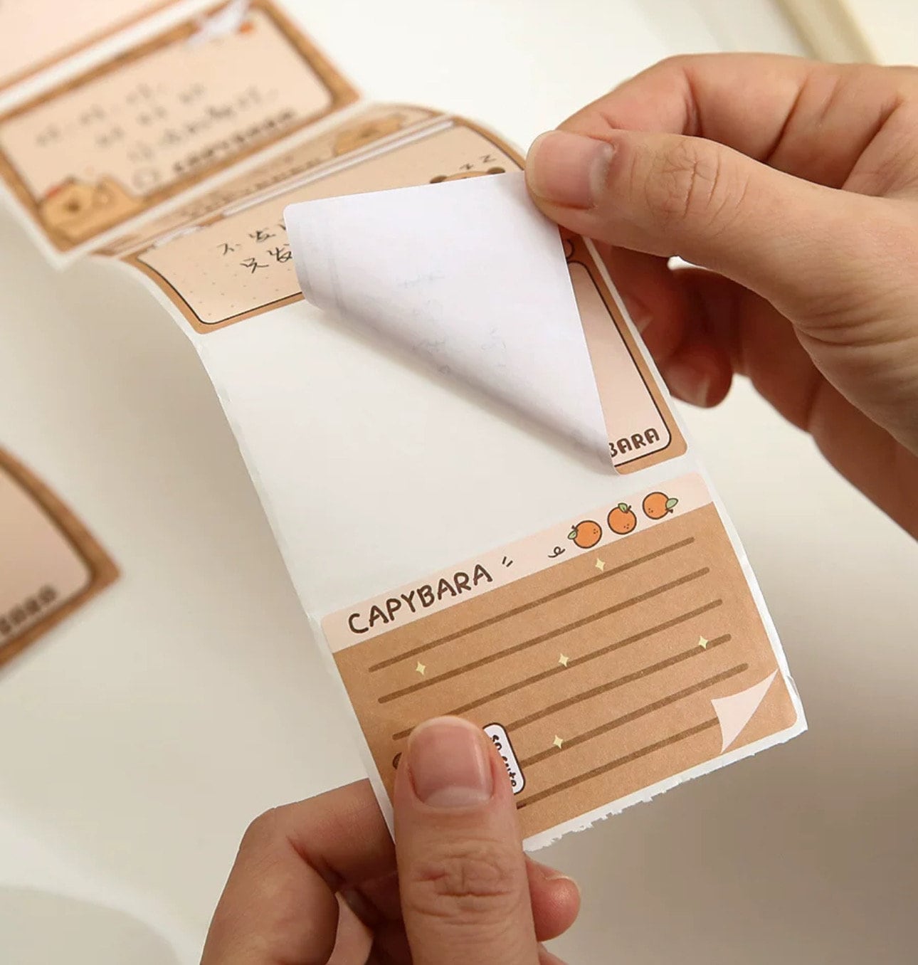 Capybara sticker note roll 256pcs per roll sticky notes notepad capybara stationary capybara office supplies capybara school supplies