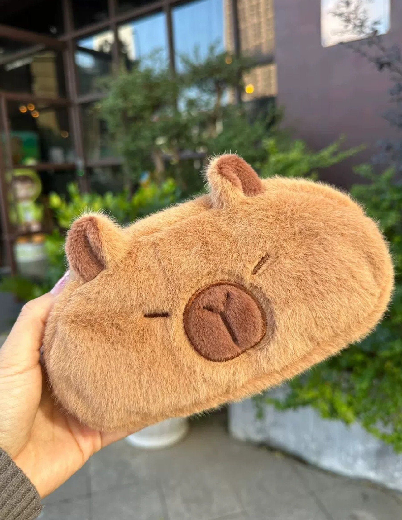 Capybara Pencil Case Capybara makeup bag pouch stationary case office supply school pencil case back to school